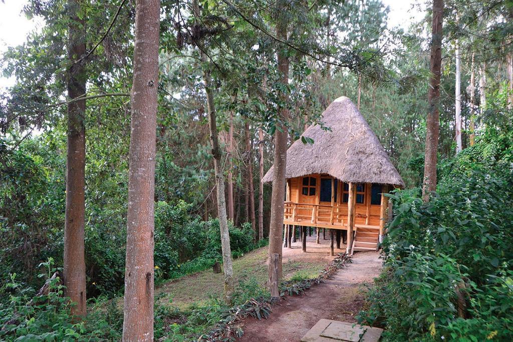 Lake Bunyonyi Eco Resort Chabahinga Εξωτερικό φωτογραφία