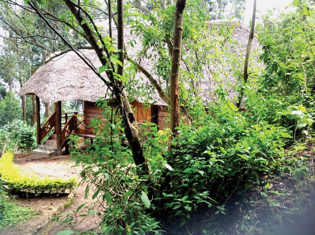 Lake Bunyonyi Eco Resort Chabahinga Εξωτερικό φωτογραφία